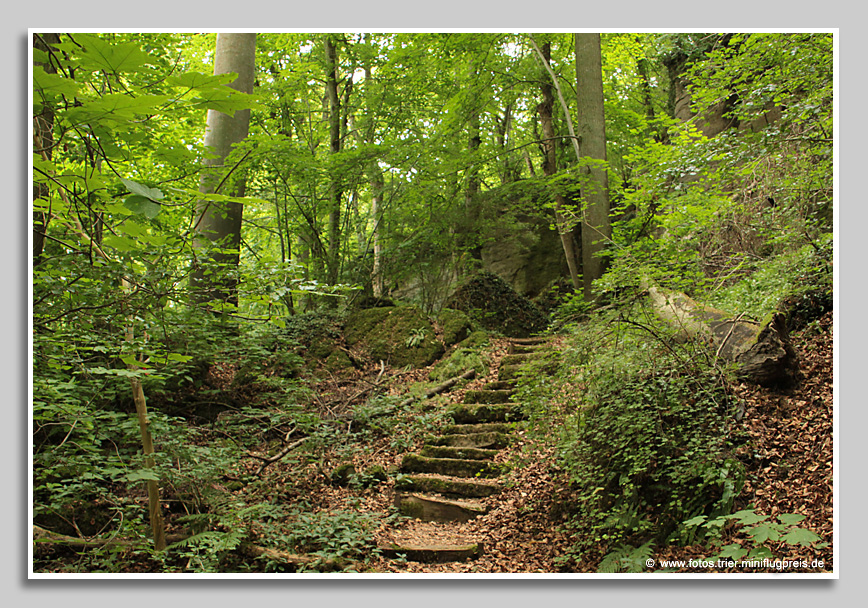 Wild-romantischer Wanderweg durch die "Kleine Schweiz" zwischen Rosport und Steinheim