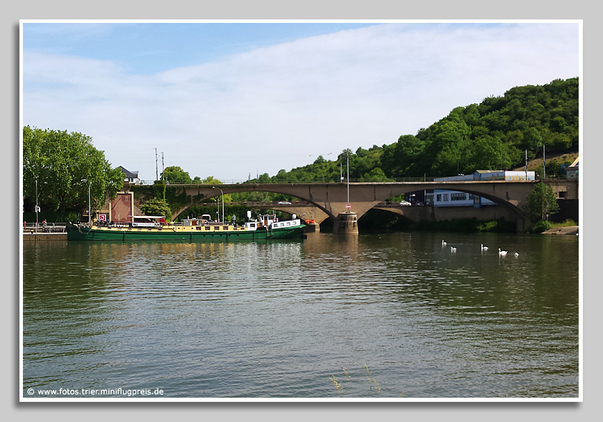 Wo die Sauer in die Mosel mündet. Mosel bei Wasserbilligerbrück