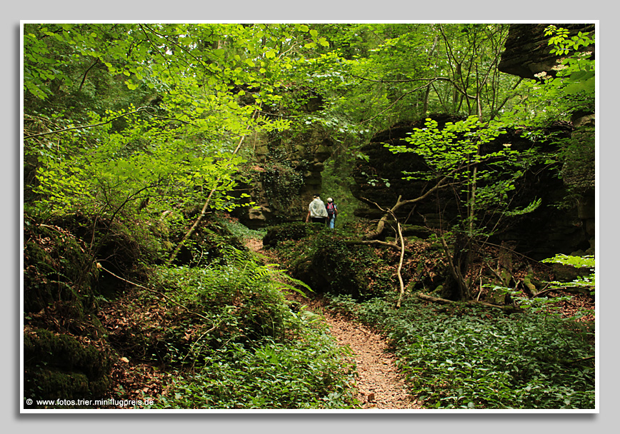 Wandern auf urigen Pfaden zwischen Rosport und Echternach