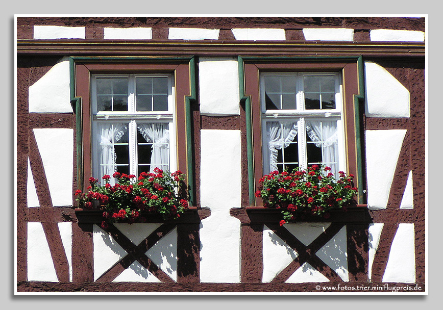 Bernkastel - Blumenfenster