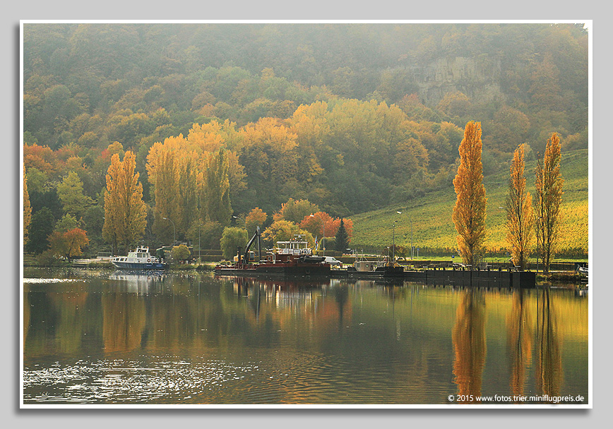 Mosel zwischen Grevenmacher und Machtum - Luxemburg