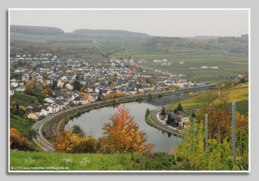 Blick auf den Mosel-Weinort Nittel