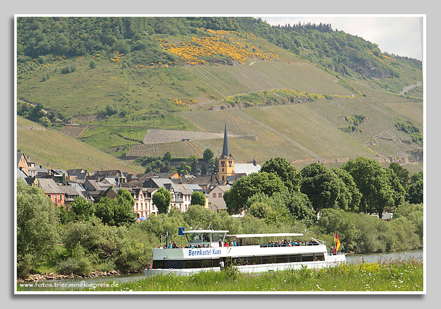Zeltingen -Mosel