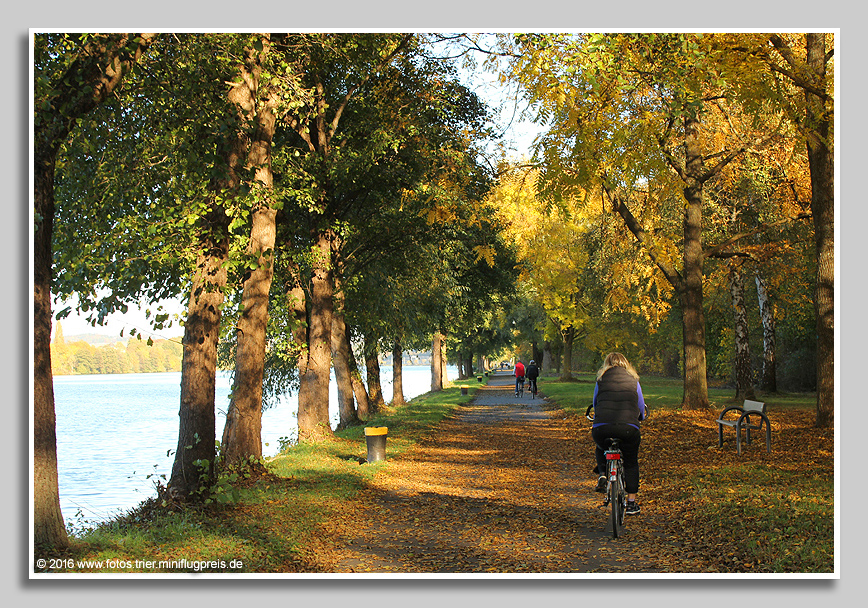 Herbstlicher Radweg bei Konz an der Mosel
