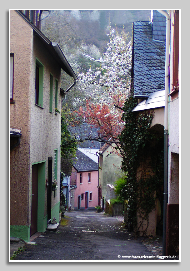 Frühlingserwachen in Neumagen-Drohn