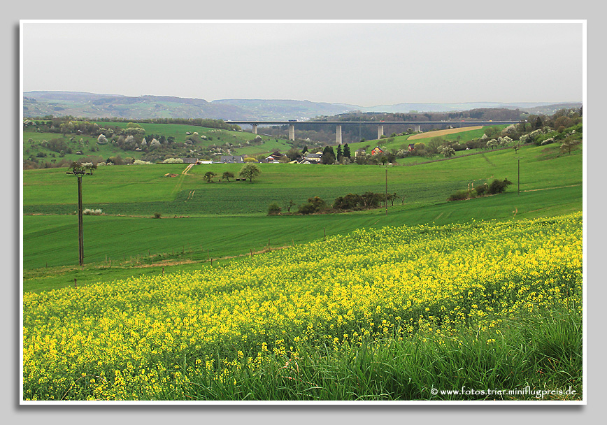 Autobahnbrücke A 64 - im Tal Grewenich