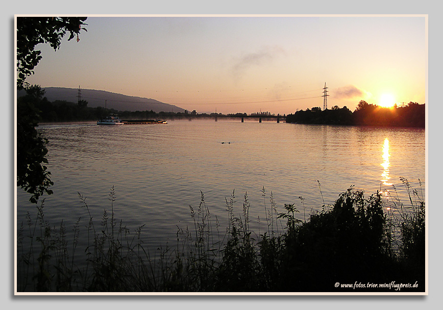 An der Saarmündung bei Konz
