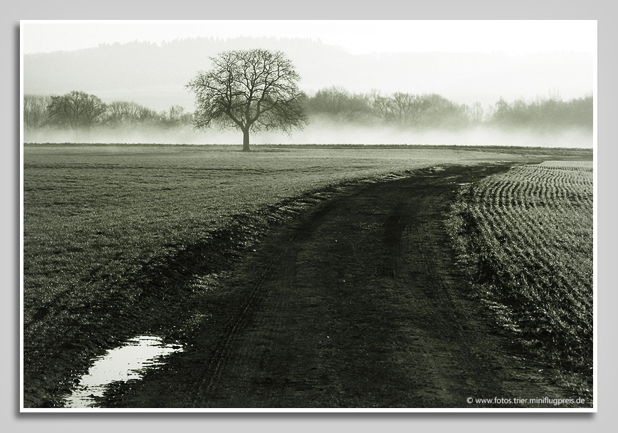 Morgenstimmung bei Ehrang