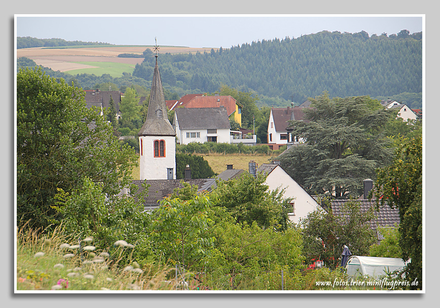 Ortsansicht-Trier-Irsch