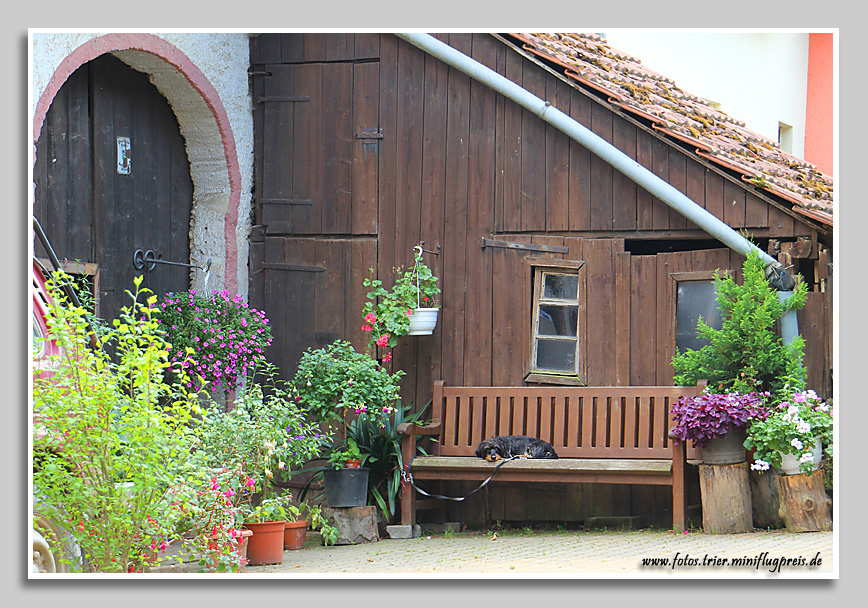 Im Brubacher Weg in Kernscheid