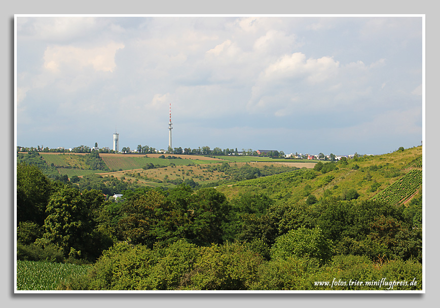 Olewig - Aussicht zum Petrisberg