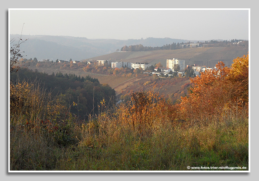 Herbstspaziergang rund um Olewig