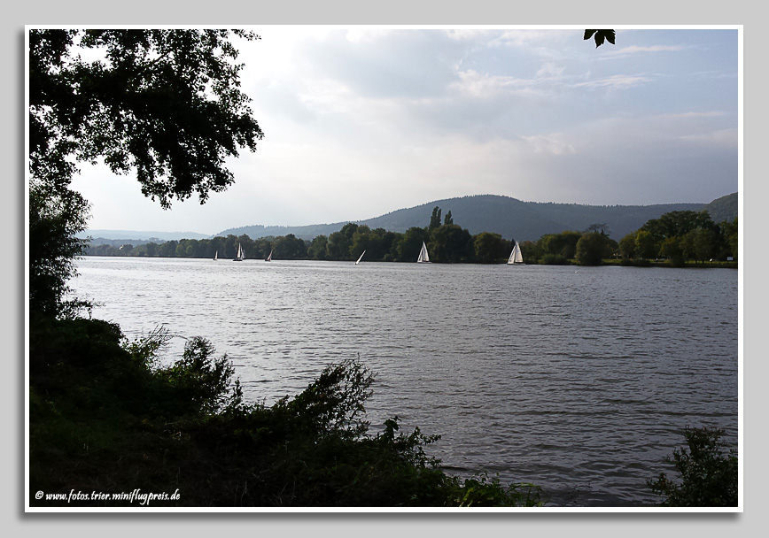 Segelboote auf der Mosel bei Trier-Zewen